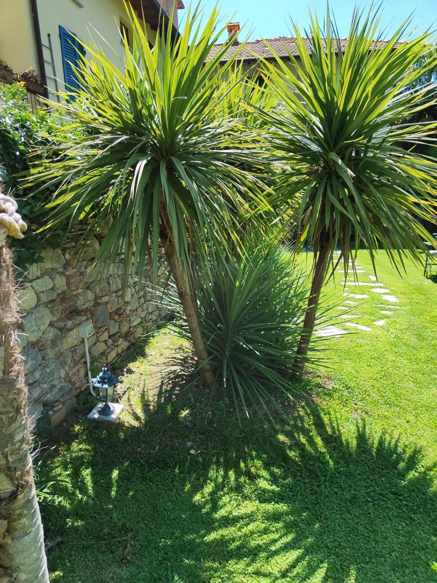 Casa Lumaca Alojamento de Acomodação e Pequeno-almoço Tremezzo